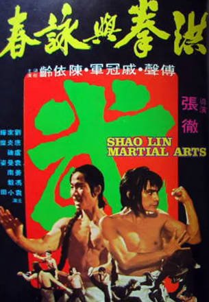 香港电影《洪拳与咏春》[1974年][剧情动作][夸克网盘][中文字幕]-抱布贸丝影视资源网