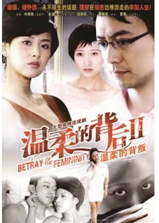 国产剧《温柔的背叛》[2010年][剧情爱情][夸克网盘][中文字幕]-抱布贸丝影视资源网