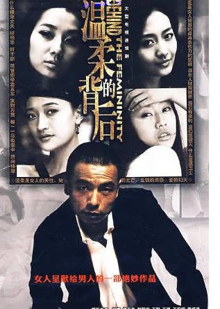 国产剧《温柔的背后》[2008年][家庭][夸克网盘][中文字幕]-抱布贸丝影视资源网