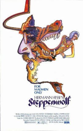 美国电影《荒原狼》[1974年][夸克网盘][中文字幕]-抱布贸丝影视资源网