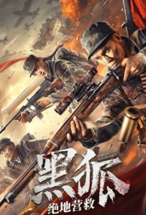 国产电影《黑狐之绝地营救》[2022年][动作战争][夸克网盘][中文字幕]-抱布贸丝影视资源网