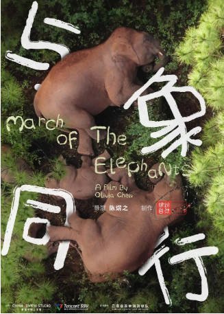 中国纪录片《与象同行》[2022年][夸克网盘][中文字幕]-抱布贸丝影视资源网