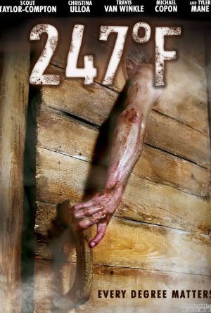 美国电影《华氏247》[2011年][惊悚恐怖][夸克网盘][中文字幕]-抱布贸丝影视资源网