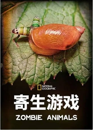 英国纪录片《寄生游戏》[2024年][夸克网盘][中文字幕]-抱布贸丝影视资源网