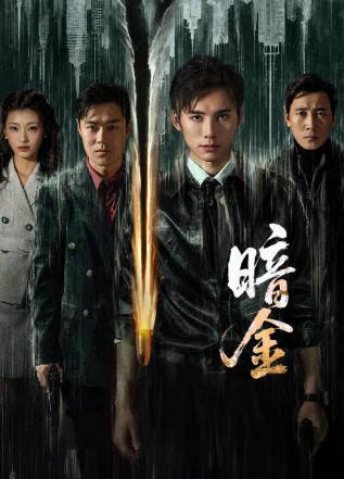 国产剧《暗金》[2026年][犯罪][夸克网盘][中文字幕]-抱布贸丝影视资源网
