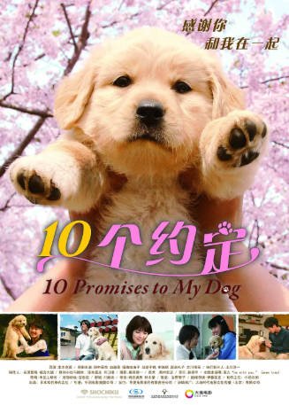 日本电影《狗狗与我的十个约定》[2008年][喜剧/爱情][夸克网盘][中文字幕]-抱布贸丝影视资源网