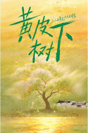 国产剧《黄皮树下》[2026年][夸克网盘][中文字幕]-抱布贸丝影视资源网