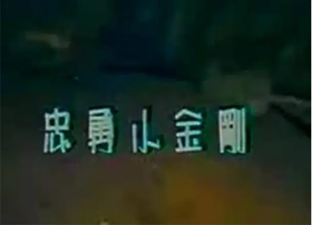 台湾剧《忠勇小金刚》[1984年][武侠][夸克网盘][中文字幕]-抱布贸丝影视资源网