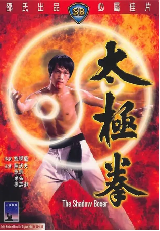 香港电影《太极拳》[1974年][动作][夸克网盘][中文字幕]-抱布贸丝影视资源网