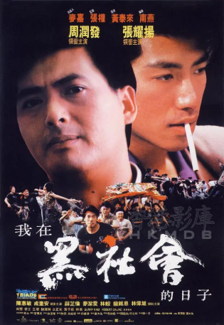 香港电影《我在黑社会的日子》[1989年][犯罪][夸克网盘]中文字幕]-抱布贸丝影视资源网