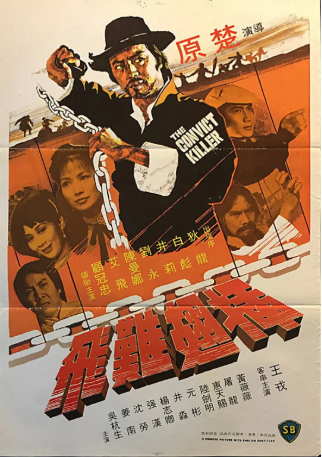 香港电影《插翅难飞》[1980年][动作/悬疑][夸克网盘][中文字幕]-抱布贸丝影视资源网