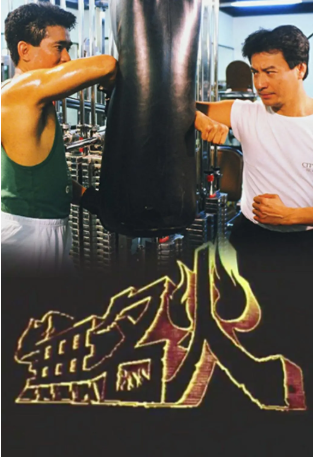 港剧《无名火》[1988年][犯罪][夸克网盘][中文字幕]-抱布贸丝影视资源网