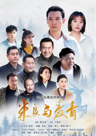 国产剧《米良与麦青》[2026年][剧情/爱情][夸克网盘][中文字幕]-抱布贸丝影视资源网