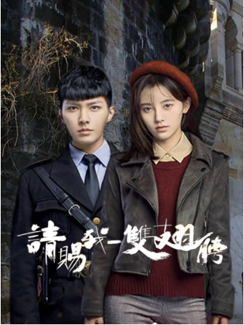 国产剧《请赐我一双翅膀》[2019年][悬疑][夸克网盘][中文字幕]-抱布贸丝影视资源网