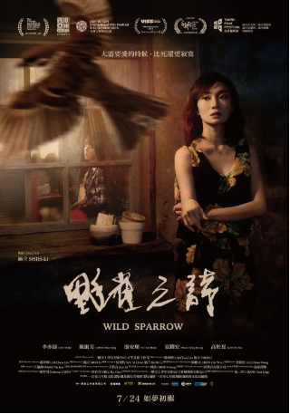 台湾电影《野雀之诗》[2019年][夸克网盘][中文字幕]-抱布贸丝影视资源网